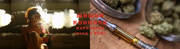 крисы Белокуриха