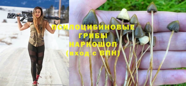 кокс Семёнов