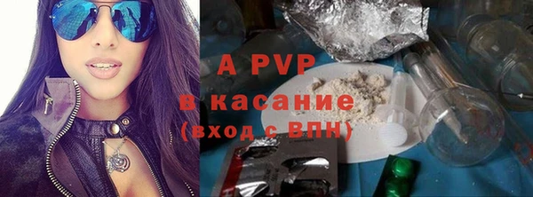 крисы Белокуриха
